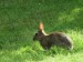 DSCF6295.jpg